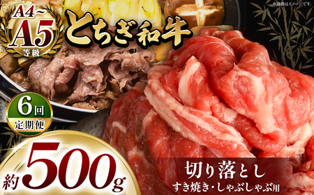 【定期便6回】最高位賞を受賞！最高級ブランドの柔らかく風味豊かなとちぎ和牛切り落とし 500g（すき焼き・しゃぶしゃぶ用） | 霜降り 和牛 切り落とし とろける 品質 柔らかく 銘柄牛 安心 安全 美味しい おいしい 芸術品 特産品 ふるさと 納税 栃木県共通返礼品 栃木県 那珂川町 送料無料