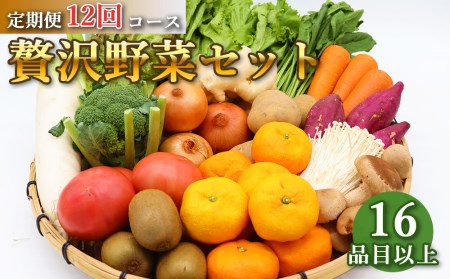 定期便 12回コース 贅沢 野菜 セット どっさり 16品目以上 季節の野菜 フルーツ キノコ 詰め合わせ [吉岡青果 長崎県 雲仙市 item2218]