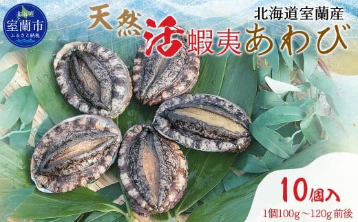 北海道室蘭産 天然活蝦夷あわび 10個入（1個100g～120g前後）（2025年11月下旬頃お届け） 【 ふるさと納税 人気 おすすめ ランキング ホタテ あわび アワビ 鮑 蝦夷あわび 蝦夷アワビ 海鮮 新鮮 北海道産 北海道 室蘭市 送料無料 】 MROH007