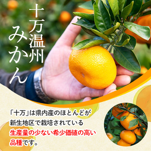 s519 ≪毎月数量限定≫十万温州みかんシロップ漬け(計6個・1個180g) 【田野農園】