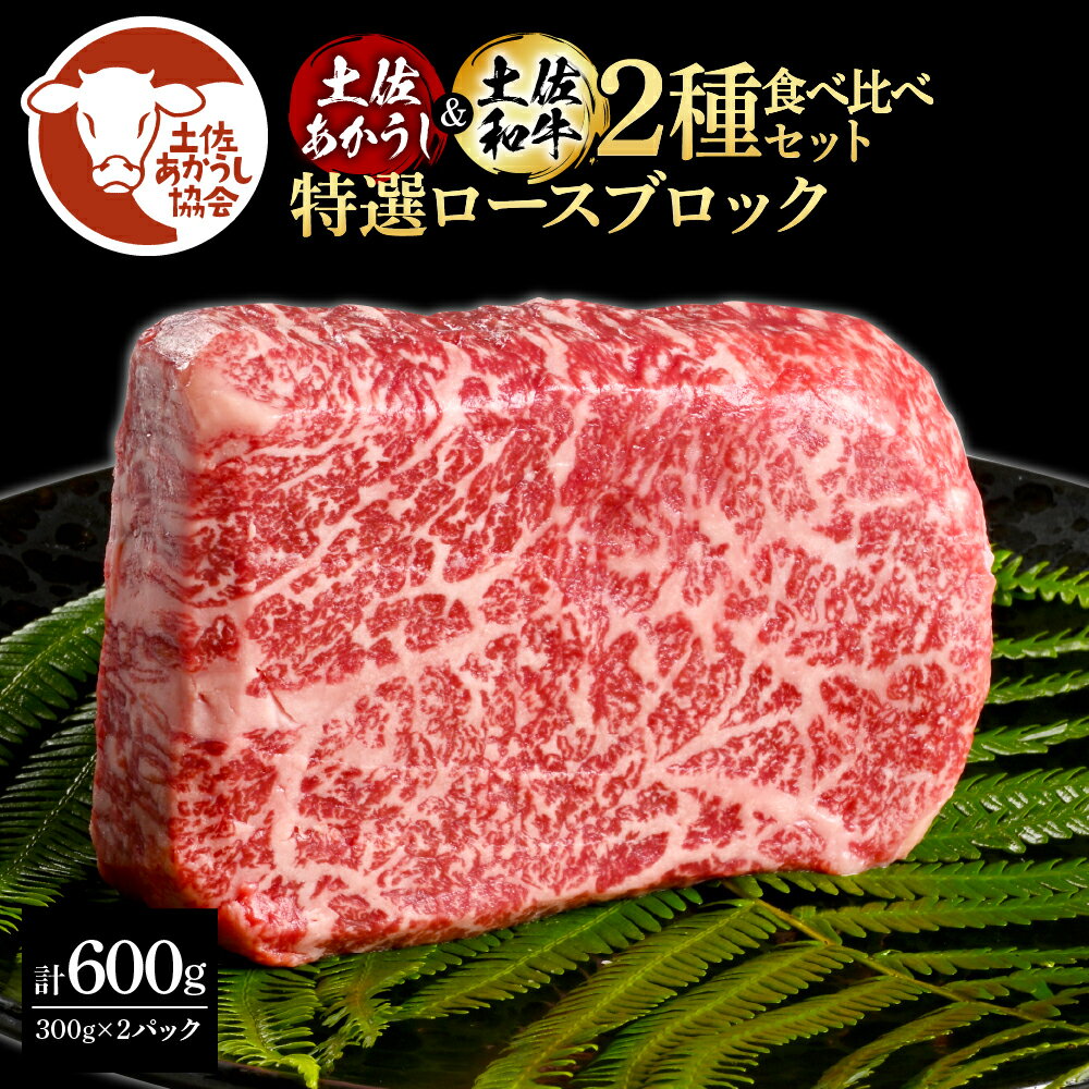 【ふるさと納税】土佐あかうし＆土佐和牛2種食べ比べ（300g×2パック）特選ロースブロック 特選 ロース ブロック肉 牛 牛肉 赤牛 和牛 国産 エイジングビーフ 天下味 エイジング工法 熟成肉 ギフト お取り寄せ 冷凍 配送 送料無料 高知県 ふるさとのうぜい 故郷納税 返礼品