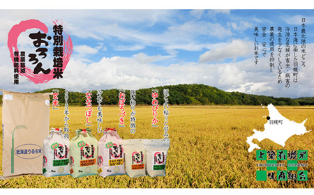 ★６月以降発送★【2025年産】 【定期便：6回】 北海道羽幌産 特別栽培米 ななつぼし5kg【0811502】