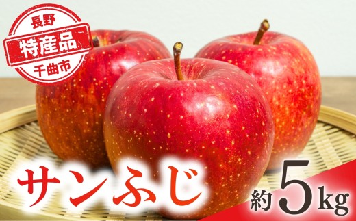 【2026年先行予約】りんご サンふじ 約5kg | りんご 林檎 リンゴ 信州りんご 長野県 千曲市