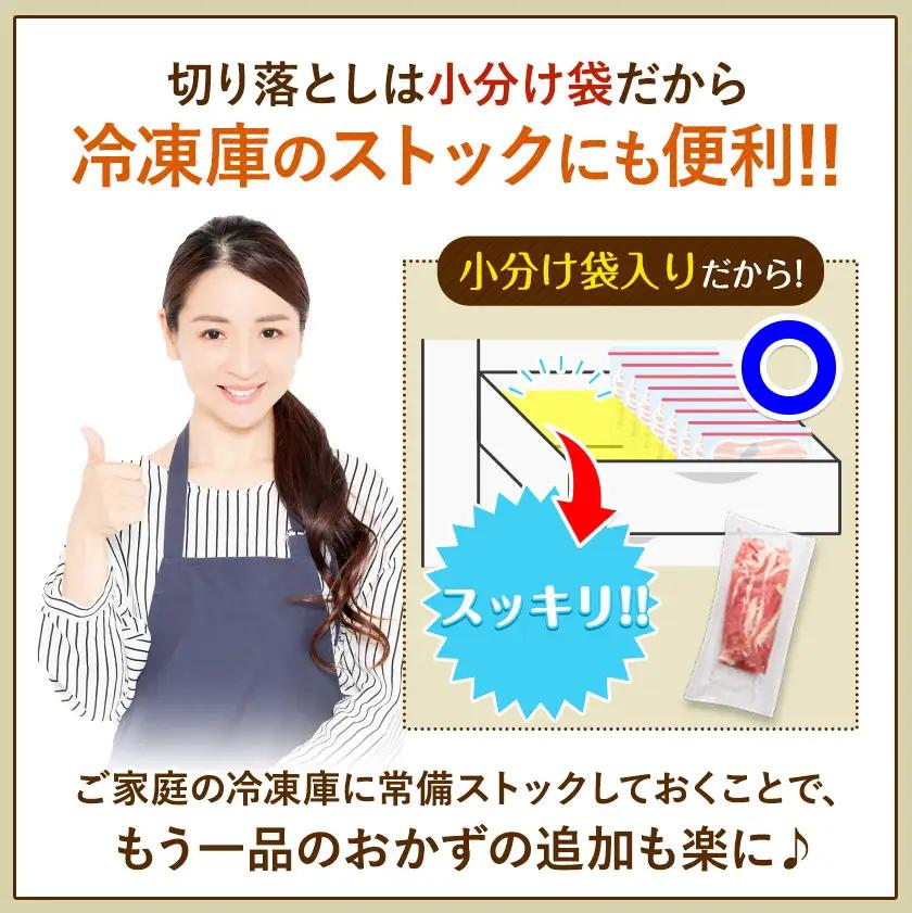 豚肉 切り落とし 900g 焼肉いしい 株式会社石井牧場《30日以内に出荷予定(土日祝除く)》 熊本 支援