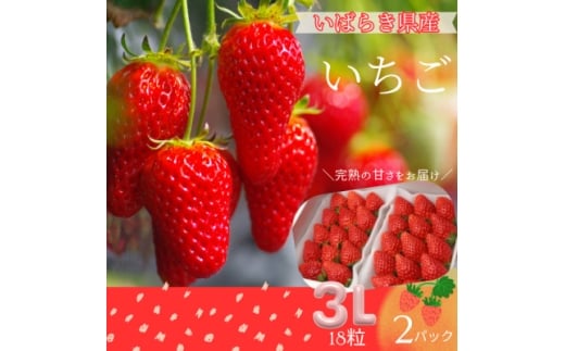 菅谷いちご園の完熟いちご　3Lサイズ18粒(約420g)×2パック【1702274】
