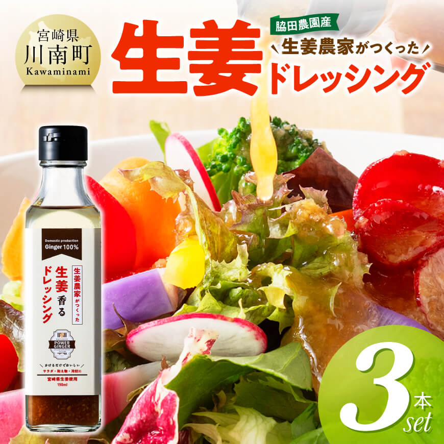 脇田農園産　生姜農家が作った生姜ドレッシング3本セット 生姜 ショウガ 国産 宮崎県産 九州産 川南町産 農家直送 しょうが ドレッシング