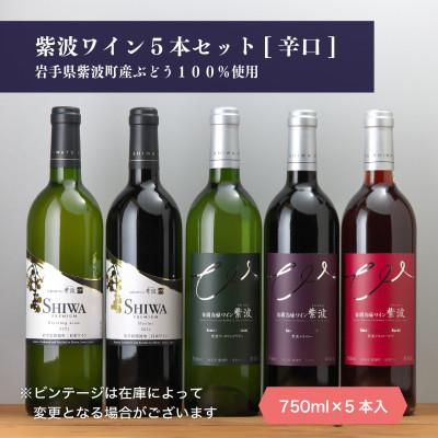 ふるさと納税 岩手県 自園自醸ワイン紫波 辛口ワイン5本セット