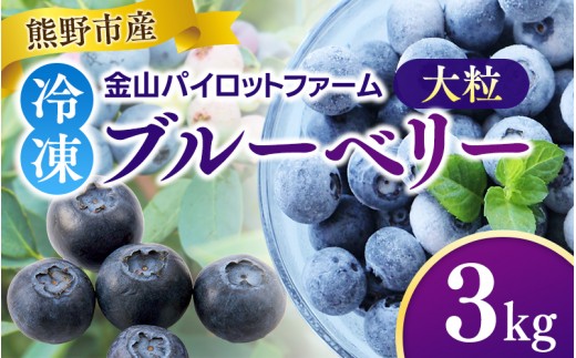 
                  【数量限定】冷凍 ブルーベリー 3kg 急速冷凍 フルーツ 果物 くだもの スムージー ジャム 朝食 デザート 特産品 人気 国産 旬 金山パイロットファーム 三重県 熊野市 【2026年9月頃から順次発送】【knpr0011A】
                