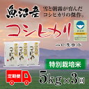 【ふるさと納税】定期便 全3回 特別栽培米 魚沼産コシヒカリ 5kg　定期便・ お米 米 コメ コシヒカリ 魚沼産 　お届け：寄附確認月の翌月より発送いたします。