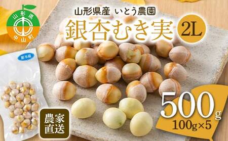 農家直送銀杏むき実 2Lサイズ 500g（100g×5）山形県産 ぎんなん 《いとう農園》 茶碗蒸し おつまみ 季節限定 簡単 F4A-0313