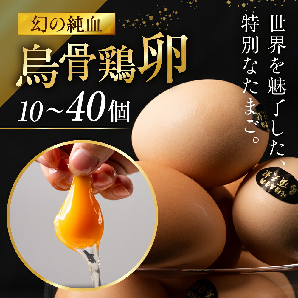 【ふるさと納税】 ＼最高級たまご／烏骨鶏 卵 緩衝性に優れているモールド パック入 10個 20個 30個 40個 セット 定期便 3回 6回 12回 烏骨鶏 鳥骨鶏 たまご 玉子 高級 鶏 ニワトリ にわとり 烏骨鶏本舗 岐阜県 大垣市