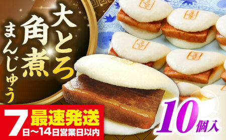 【簡易包装】大とろ角煮まんじゅう10個（5個×2）　《壱岐市》【岩崎本舗】冷凍 豚 豚角煮 角煮饅頭 簡単調理 おやつ お取り寄せ 長崎[JHA026]