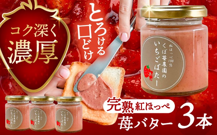 いちごバター 3本セット 果物 フルーツ 紅ほっぺ 愛西市 / くぼ苺農園 【配達不可：離島】[AECJ023]