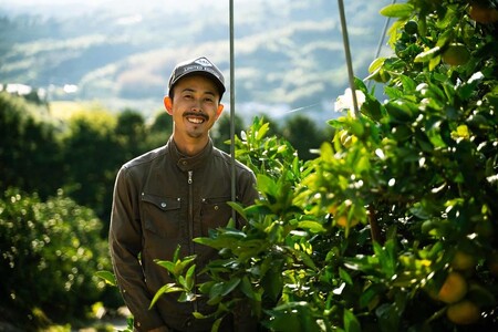 先行予約 河内晩柑 ジューシーオレンジ 約4.5kg 【髙橋果樹園】【2026年4月上旬から2026年6月下旬順次発送予定】晩柑 熊本県 宇城市 宇城市産河内晩柑 熊本県産河内晩柑 国産河内晩柑 