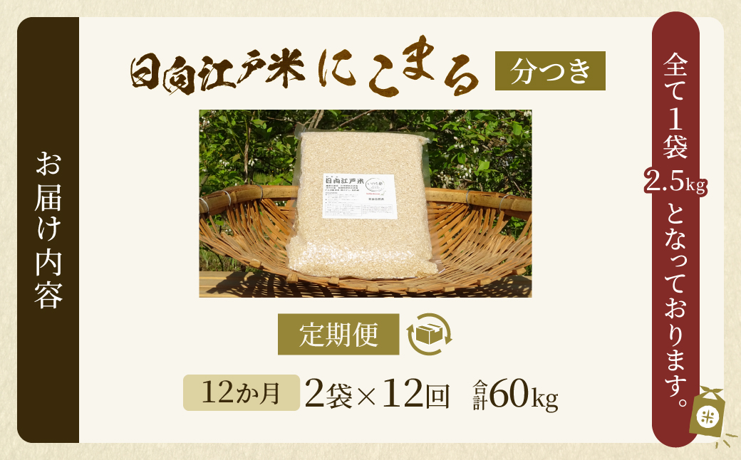 【12か月定期便】天日干しが引き出す お米の旨味 日向江戸米（にこまる）【分つき】合計60kg 国産米 ブランド米 農薬不使用 化学肥料不使用 無農薬 ごはん ご飯 おにぎり お弁当 冷めても美味しい