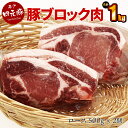 【ふるさと納税】GIFTON 岩手 四元豚 豚ロース ブロック 1kg 500g 2パック 豚肉 冷凍 プレゼント ギフト 贈り物 ご当地 みやげ お中元 お歳暮 年末年始 大晦日 年越し お正月 パーティー ステーキ しゃぶしゃぶ 料理 ストック かたまり肉 ごえん株式会社