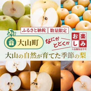 【先行予約】DS-26　大山の自然が育てた季節の梨 5kg