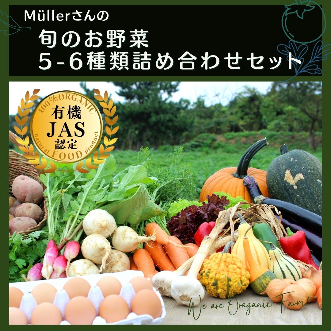 【ふるさと納税】【季節野菜詰め合わせ】5〜6種 農薬不使用だから安心安全! お歳暮