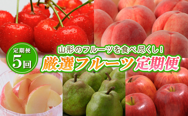 
            【定期便5回】山形のフルーツを食べ尽くし！厳選フルーツ定期便 【令和7年産先行予約】FS24-542くだもの 果物 フルーツ 山形 山形県 山形市 2025年産
          