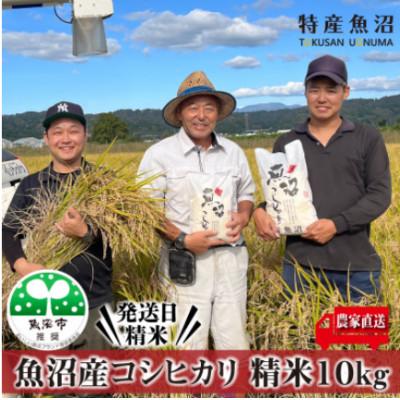ふるさと納税 魚沼市 【令和8年産先行受付】農家直送!魚沼産コシヒカリ　精米10kg
