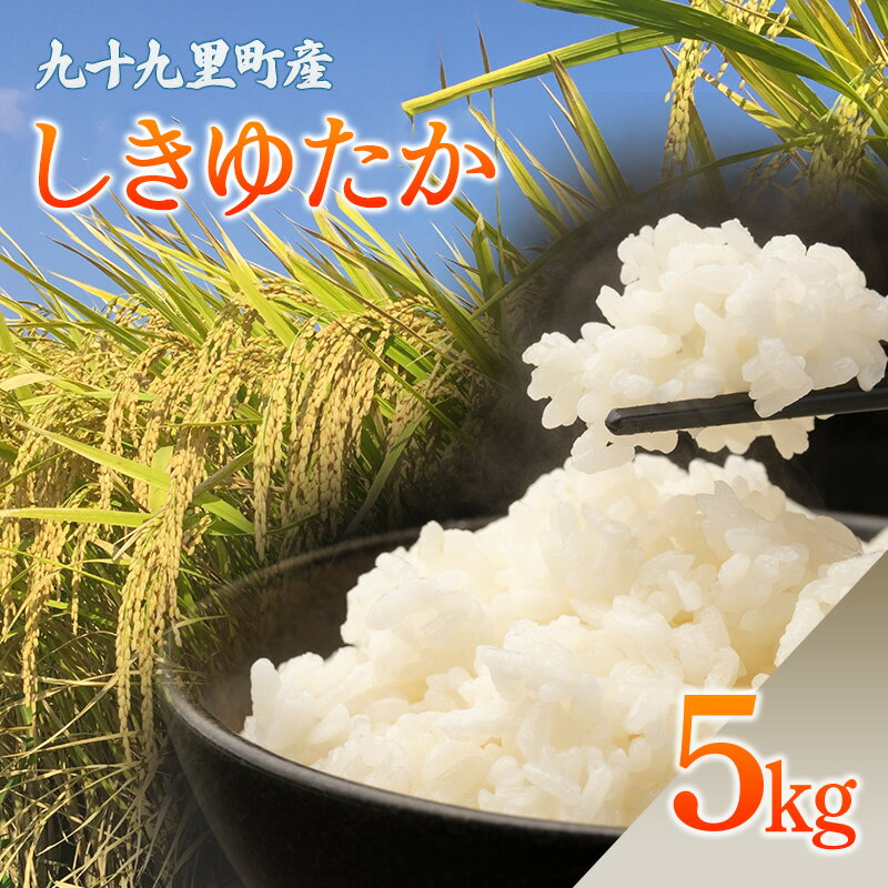 【ふるさと納税】九十九里町産 しきゆたか 5キロ お米 白米 精米 ご飯 こめ コメ おこめ ごはん 千葉 九十九里町