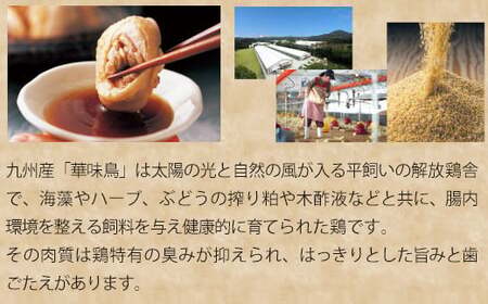 〈博多華味鳥〉 水たきセット 2人前 ちゃんぽん麺・柚子胡椒付き(HS-02DM) [M876-1] 水炊き 鍋 人気 セット 肉 鶏 はなみどり ご当地グルメ 福岡 スープ