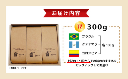 【Nanの木】自家焙煎スペシャルティコーヒー3種飲み比べセット 豆 [NK001-1] 【福岡県須恵町】