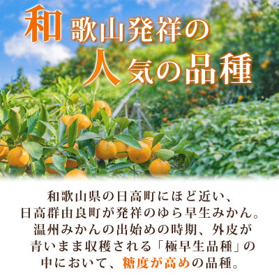 G7098_【2025年先行予約】紀州和歌山有田産 ゆら早生みかん 10kg