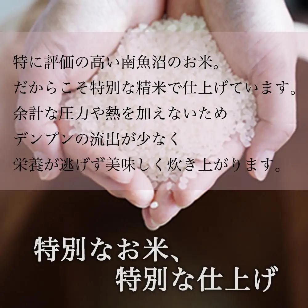 【定期便】令和7年 南魚沼産コシヒカリ《吟精無洗米》 2kg×4袋 12ヶ月連続|  コシヒカリ
