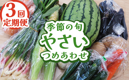 【定期便3回】下野市産 季節の旬野菜詰め合わせ  | 栃木県 下野市