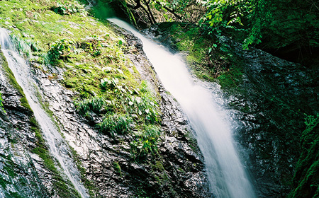 No.116 秩父源流水