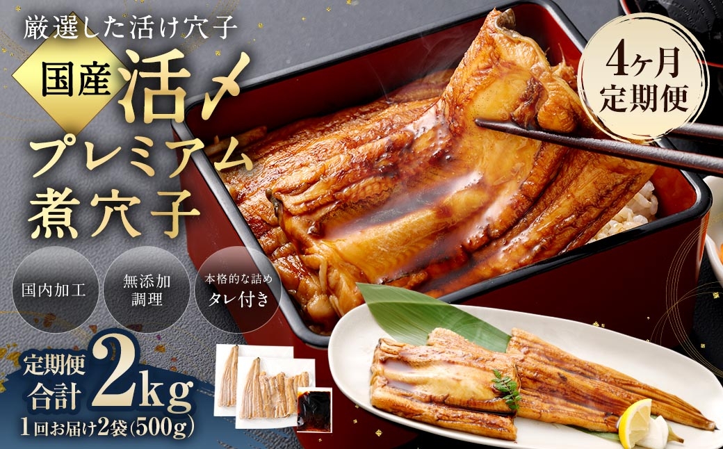 【 4ヶ月定期便 】 国産活〆 プレミアム煮穴子 500g （ 250g × 2袋 ） タレ （ 50g ） 付 魚 魚類 お魚 穴子 アナゴ あなご 魚料理 冷凍 保存料不使用 着色料不使用 添加物不使用