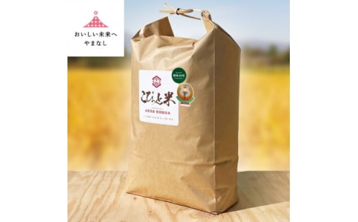 国際大会受賞歴有!＜令和7年産＞こぴっと米＜農林48号＞玄米・10kg　特別栽培米【1652047】