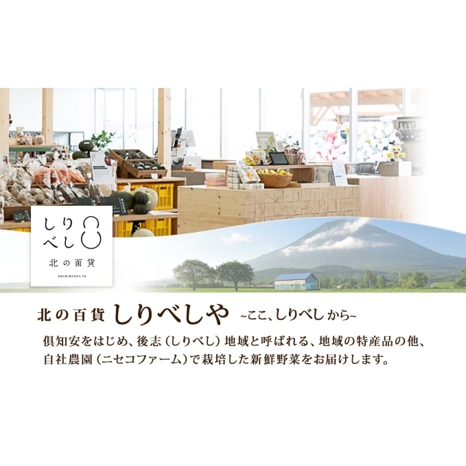 北海道産 雪の下育ちのくっちゃんポテトスープ 180g×8個 小分け 個包装 レトルト スープ ポタージュ じゃがいも 馬鈴薯 ポテト 野菜 朝食 夜食 常備食 送料無料 北の百貨 しりべしや ニセコ