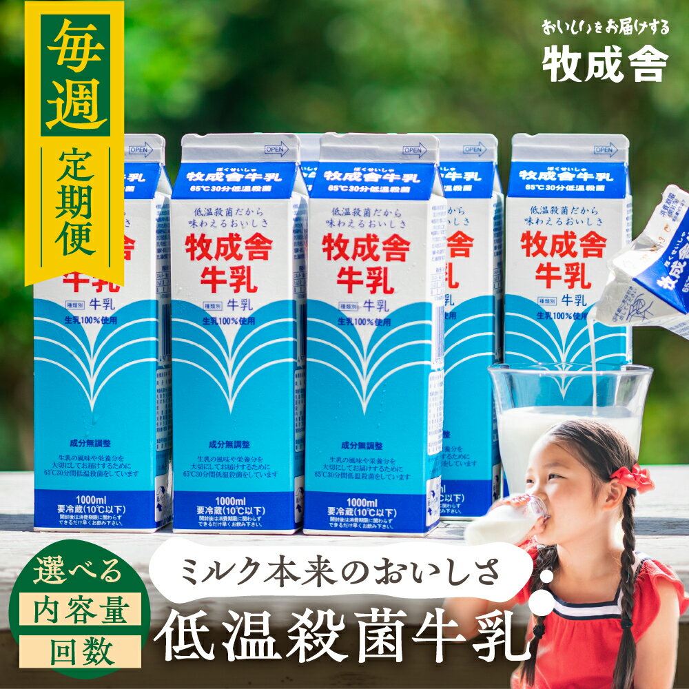 【ふるさと納税】《毎週土曜日お届け》毎週定期便 4回 〜 12回 低温殺菌牛乳 定期便 牧成舎のこだわり牛乳 定期便 お楽しみ[Q2756] 30000円 60000円 90000円 4回 8回 12回 日用品 生活応援