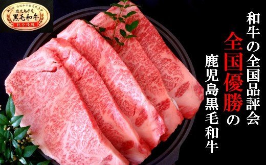 【ふるさと納税】No.5023-1　 鹿児島県産 黒毛和牛サーロインステーキ