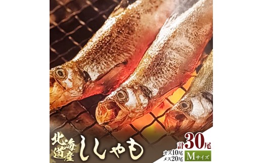 北海道産 ししゃも M30尾Fセット（オス10尾 メス20尾）有限会社阿部水産《14日以内に出荷予定》北海道 日高町 国産 魚 シシャモ 魚介 海鮮 グルメ 食べ物