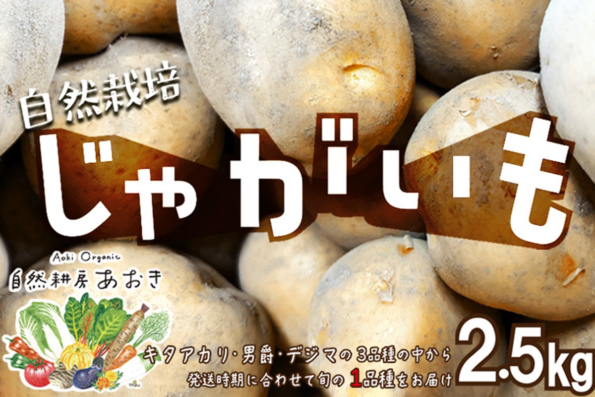 自然栽培じゃがいも 2.5kg 京都・京丹後産 自然栽培 旬野菜　じゃがいも 芋 いも 野菜 やさい 根菜 旬 京都 京丹後 自然栽培 農薬不使用　AB00009
