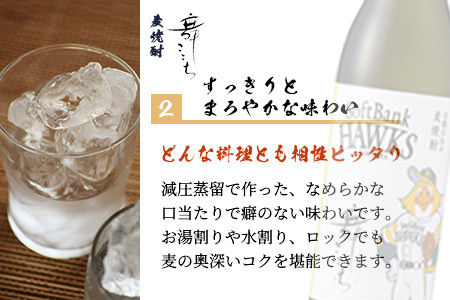  ホークスラベル　焼酎2本セット【芋焼酎　魔界への誘い＋麦焼酎　舞ここち】900ml×2本　C-119