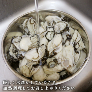 【予約販売】 訳あり 三陸産 春っこ牡蠣 500g (加熱用) 冷蔵 カキ かき むき身牡蠣 むき身 