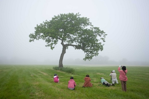 鶴居村モール温泉HOTEL TAITO宿泊券「1泊2食付　写真家和田正宏撮影ガイドプラン(1名様)」