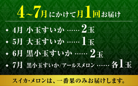 【先行予約】【4回定期便】スイカ・メロン 厳選定期便  化粧箱入り【前田ファーム】西瓜 すいか アールスメロン 黒小玉スイカ 熊本 [ZCM013]