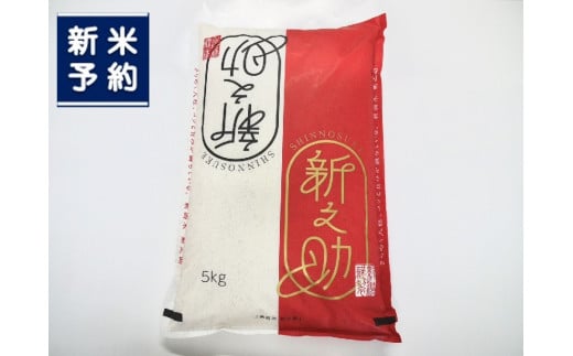 【新米受付・令和7年産米】特別栽培米 新潟県村上市岩船産 新之助 5kg　1029001N