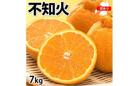 ＜ R8年熊本地震復興支援 ＞訳あり 不知火 計7kg 【2027年1月下旬～4月下旬迄順次発送予定】