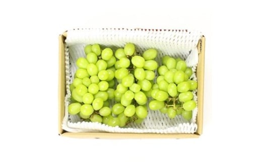 
            青木村産シャインマスカット(約2.0kg)
          