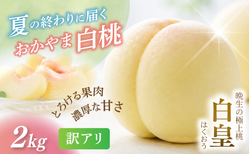 【2026年先行予約】 岡山県産 白皇 2kg 訳アリ 白桃 はくおう 花田青果【8月中旬～9月初旬まで順次発送予定】/ 桃 もも モモ 果物フルーツ 訳あり品 岡山県【hnds007】
