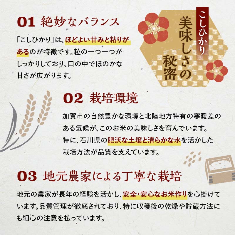 【定期便】【３回お届け（２カ月に１回）】 令和7年産 こしひかり 5kg 生活応援米 精米 銘柄米 お米 米 ギフト 贈り物 グルメ 食品 復興応援米  F6P-3222