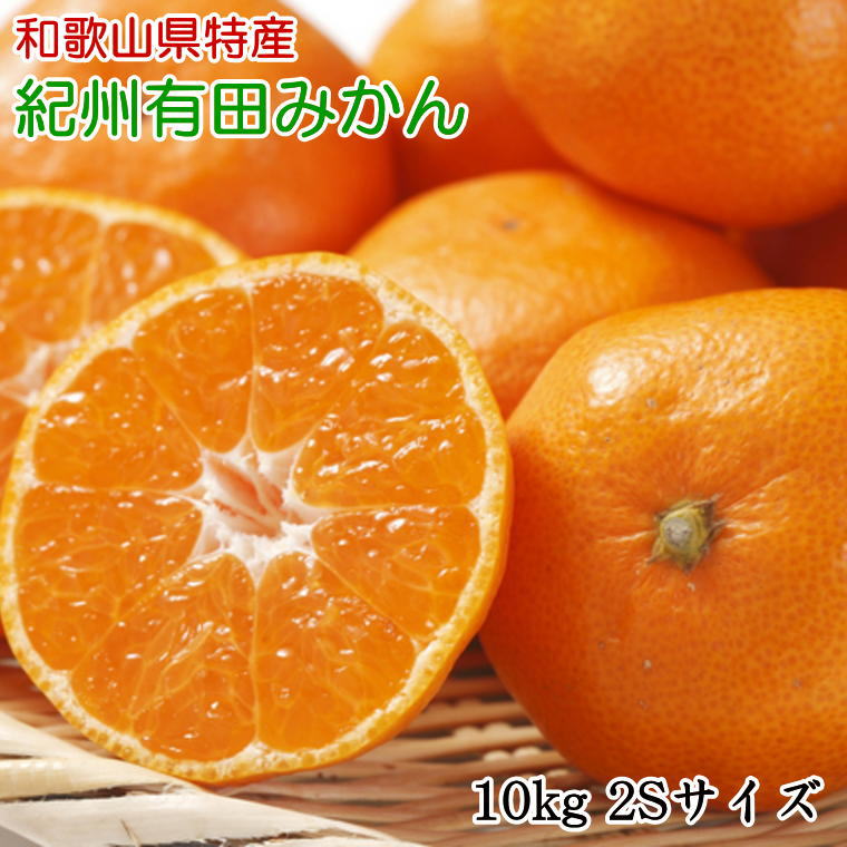 【ふるさと納税】 [秀品]和歌山有田みかん 約10kg(2Sサイズ) ※2025年11月中旬～2026年1月中旬頃順次発送予定（お届け日指定不可） みかん 柑橘類