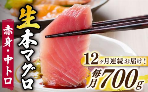 【全12回定期便】【ながさき水産業大賞受賞！！】五島列島産 養殖 生本かみまぐろ 赤身 中トロ ブロック 計約700g 魚介類 鮮魚 まぐろ 【カミティバリュー】 [RBP069]