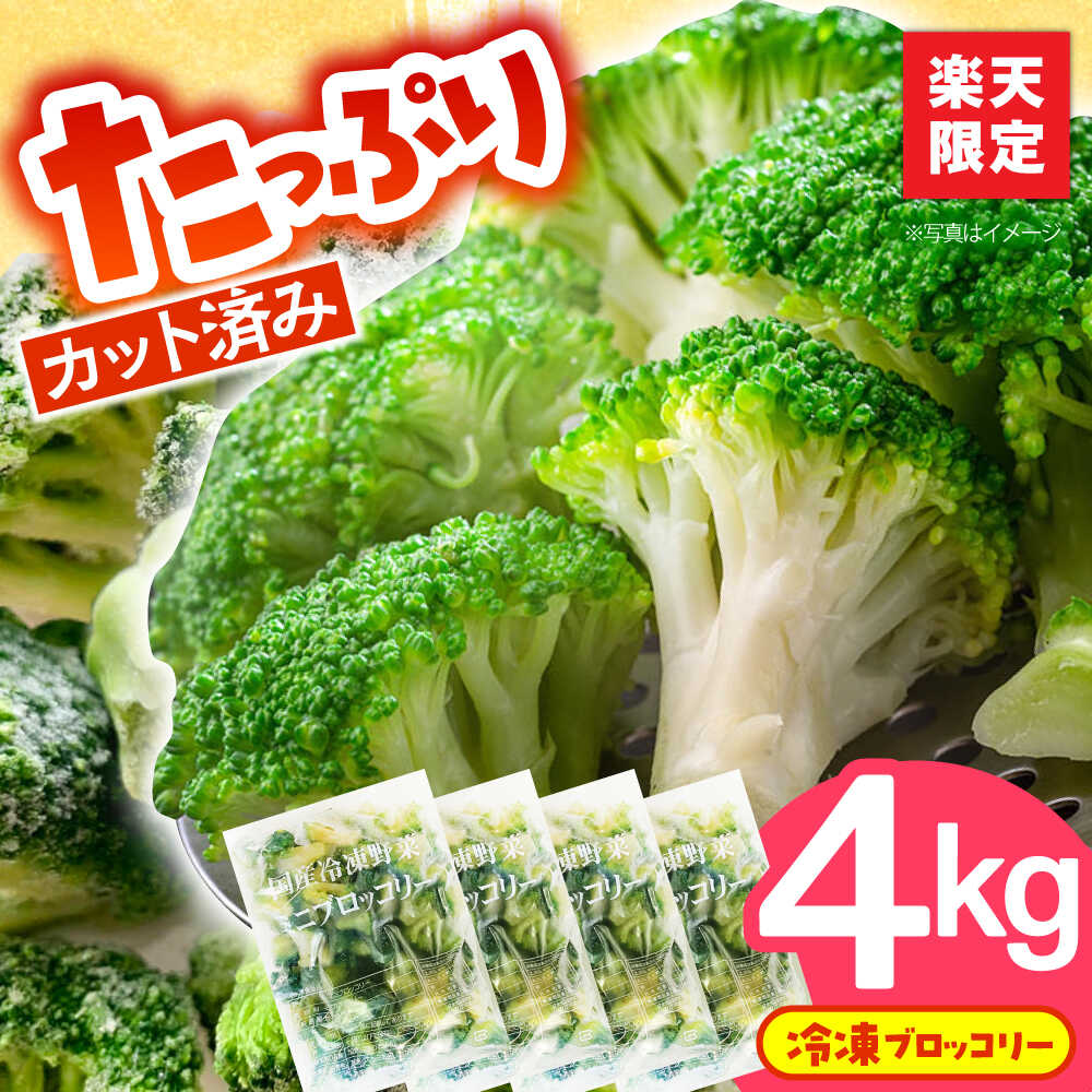 【ふるさと納税】＜楽天限定＞たっぷり 冷凍 ブロッコリー 4kg（1kg × 4袋） / ブロッコリー ぶろっこりー 野菜 やさい 小分け 冷凍 / 南島原市 / 池田海陸物産[SEW008]